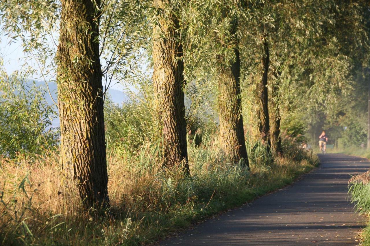B&B The View Bis Kortrijk Bagian luar foto